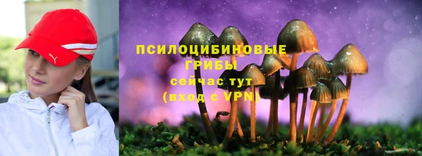 мет Переславль-Залесский
