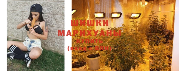 мдпв Пересвет