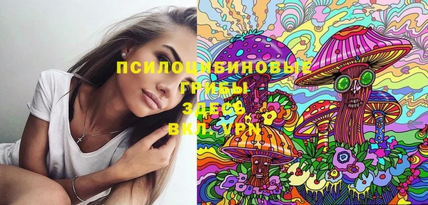 мдпв Пересвет
