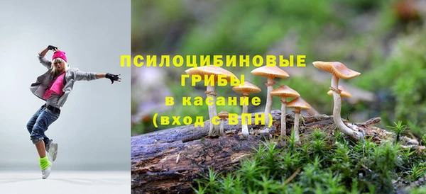 мет Переславль-Залесский